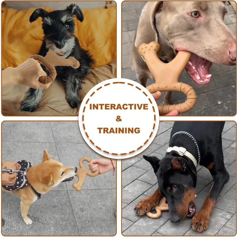 Tyggelegetøj til hunde af naturgummi