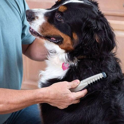 Filterkam til hunde og katte Elbørste til kæledyr