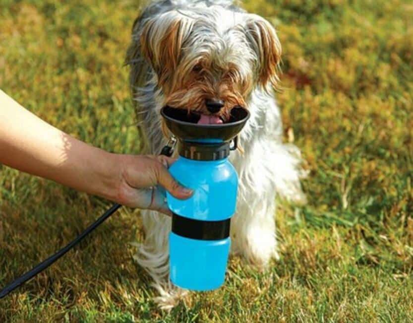 Aqua Dog Drikkedunk til hunde