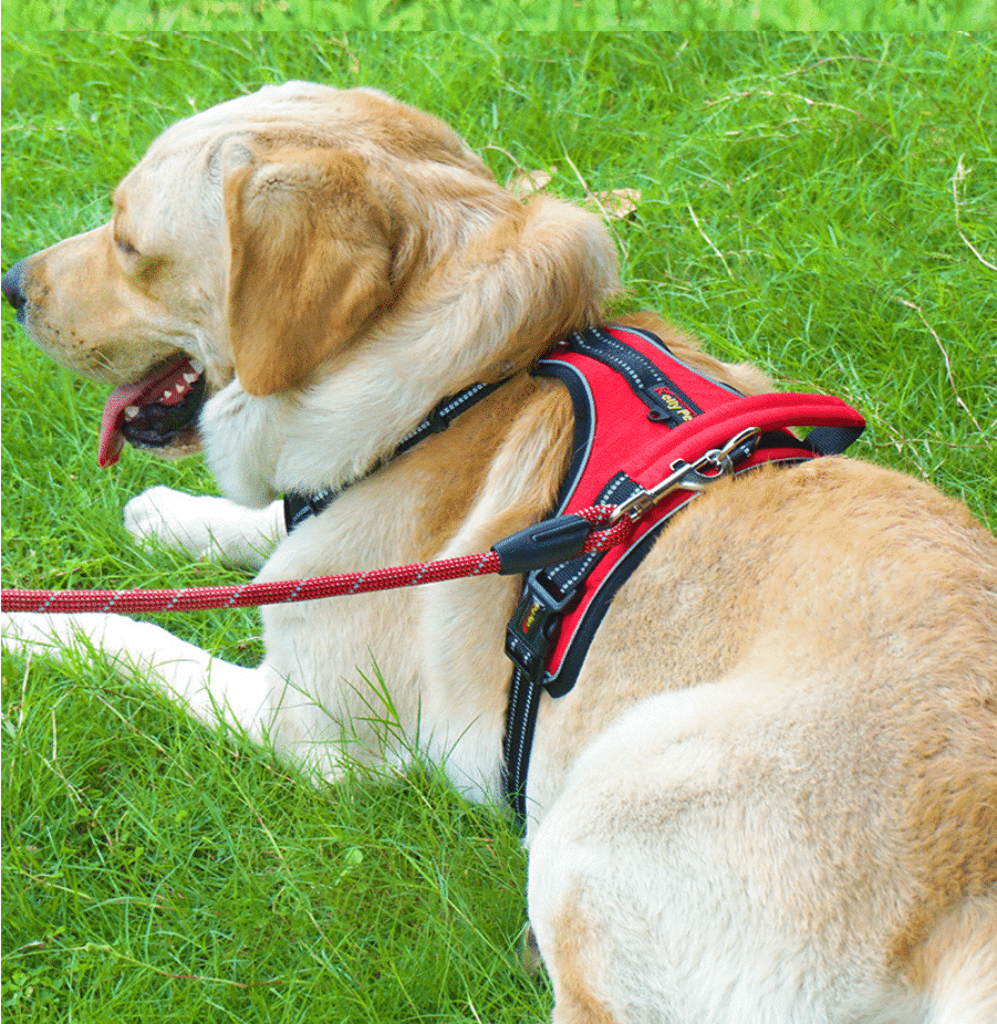 Blød Luksus Hundesele m/refleks - robust & vandfast - rød, sort eller blå