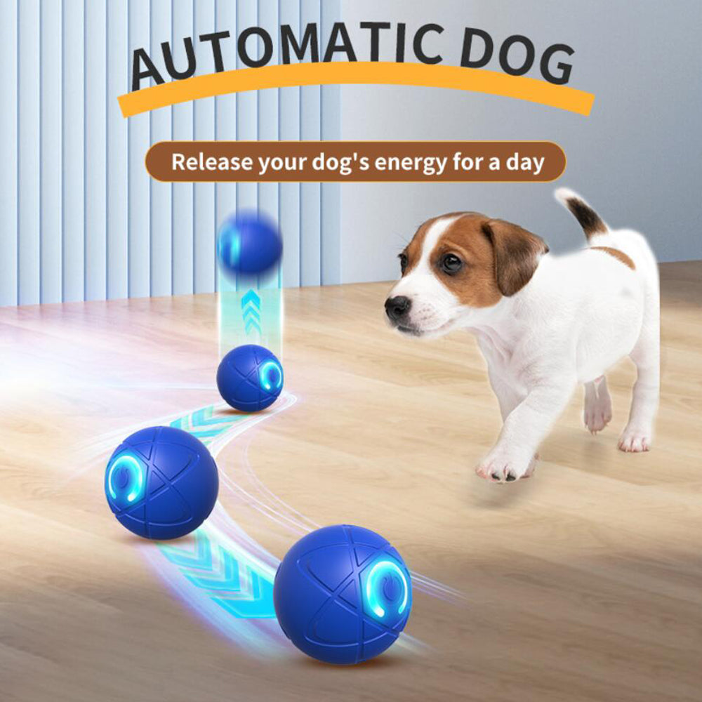 Interaktiv Automatisk Bold til Hunde og Katte