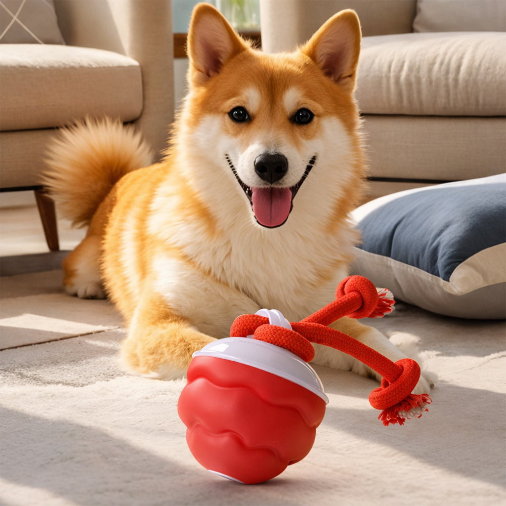 Smart Aktivitetsbold til Hunde – Automatisk & Interaktiv
