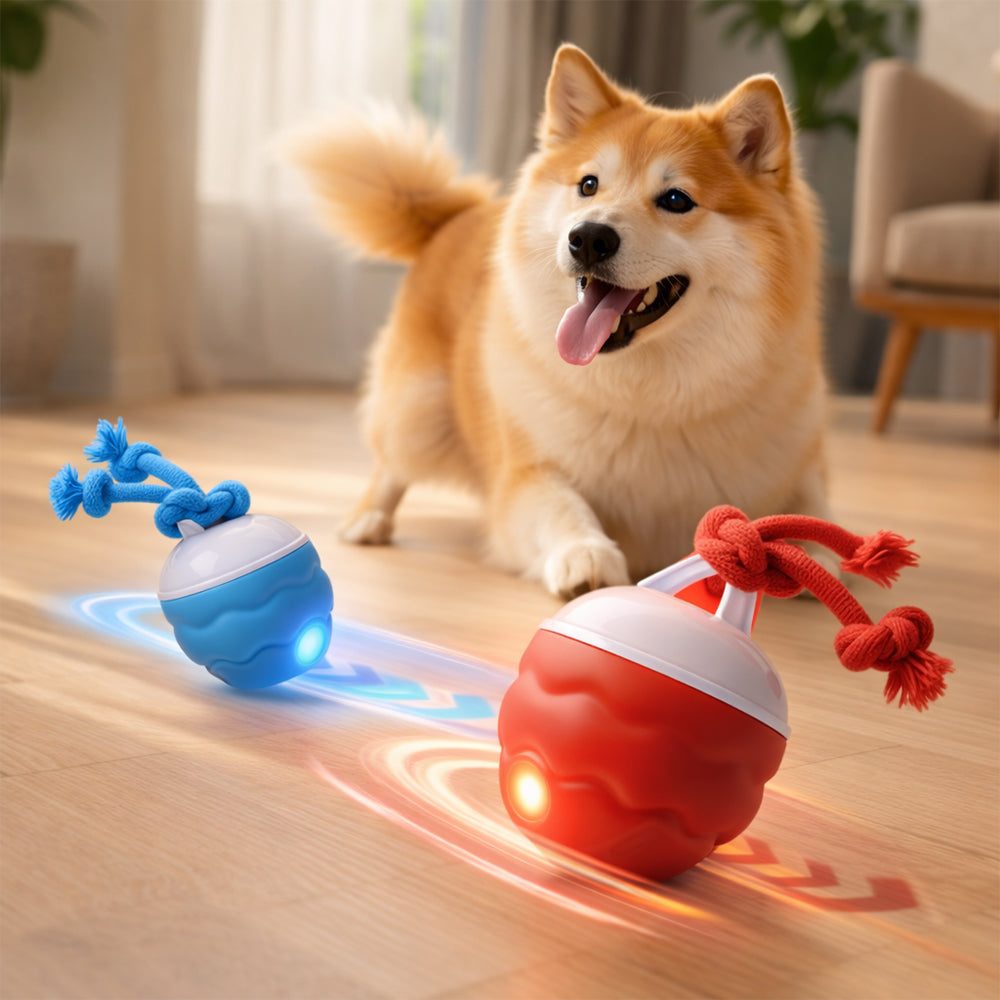 Smart Aktivitetsbold til Hunde – Automatisk & Interaktiv