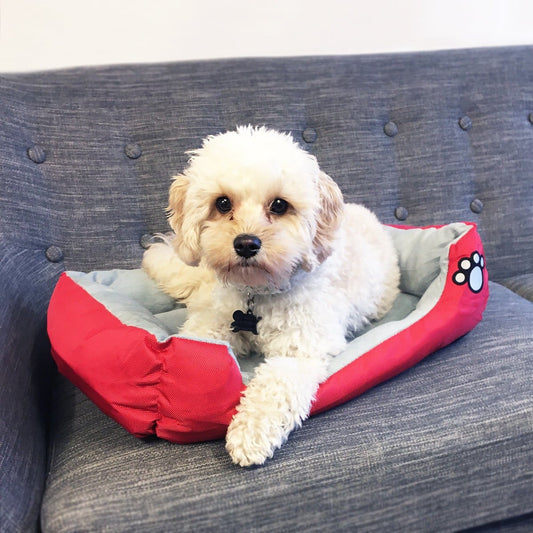 Hundekurv/kattekurv 55 - 80 cm flere farver