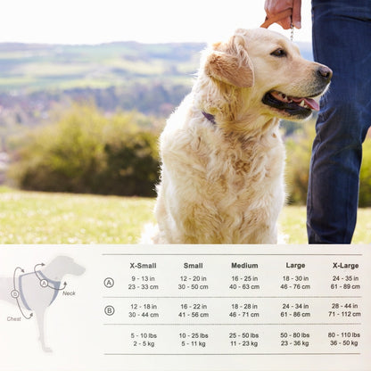 Hundesele rød eller sort i 5 størrelser