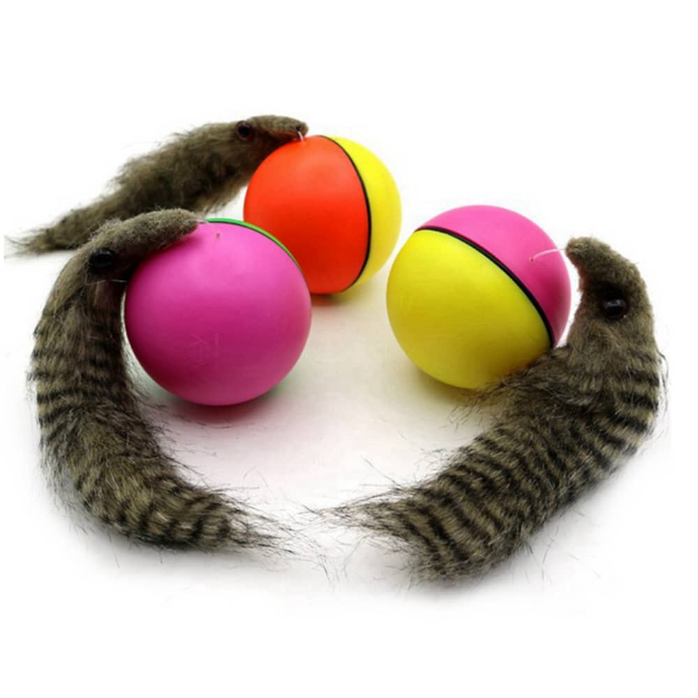 Bæverkugle - elektrisk legetøj til husdyr