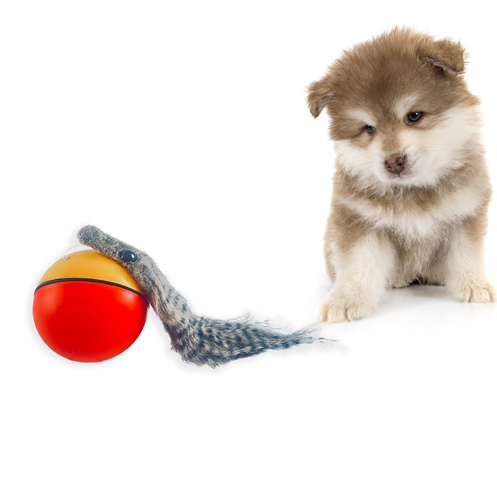 Bæverkugle - elektrisk legetøj til husdyr