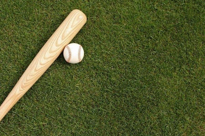 Baseballbat i Træ inkl. bold