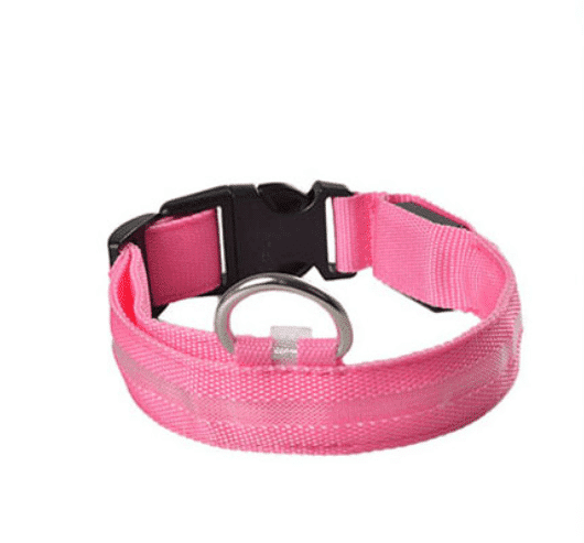 Hundehalsbånd med led-lys