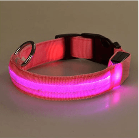 Hundehalsbånd med led-lys