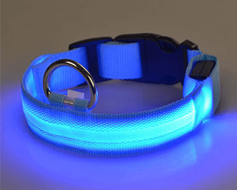 Hundehalsbånd med led-lys