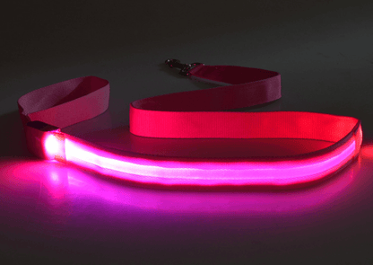 Hundesnor med led-lys