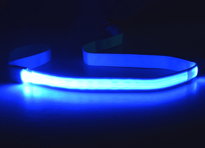 Hundesnor med led-lys