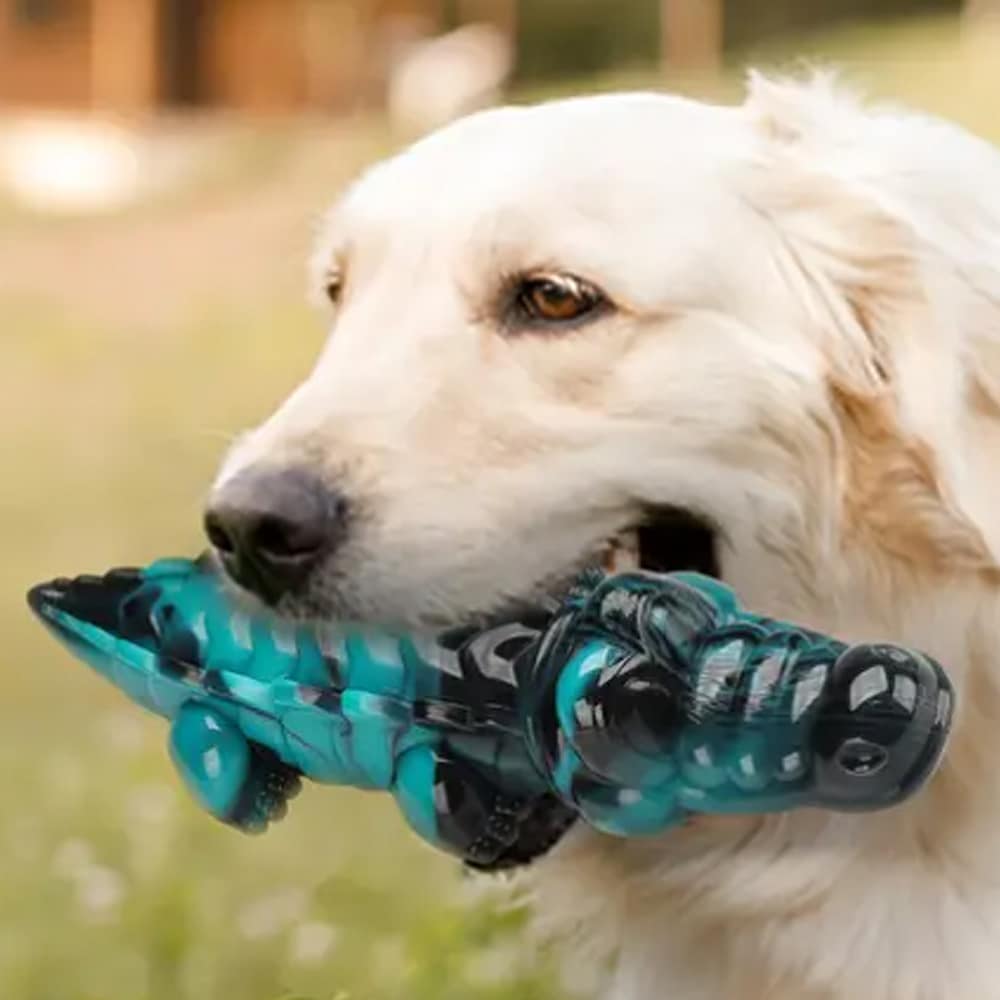 Krokodille Tyggelegetøj til Hunde – Ekstremt Holdbart og Tandrensende