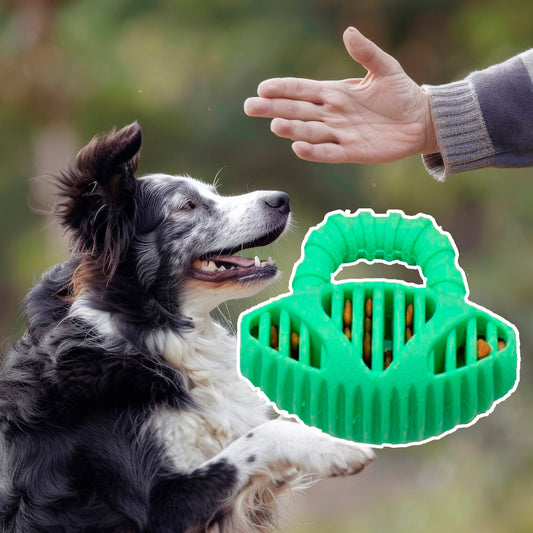 Hundelegetøj – Krokodilleformet Tyggepind til Tandrensning