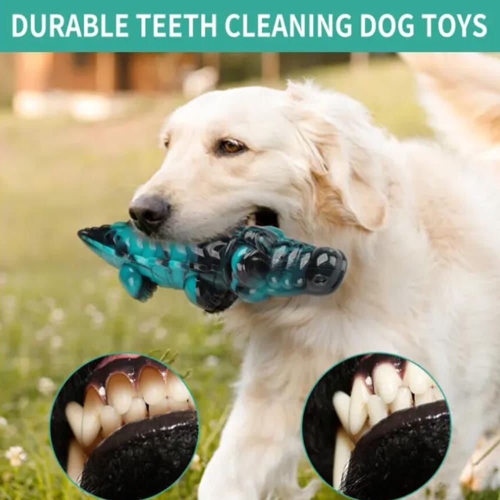 Krokodille Tyggelegetøj til Hunde – Ekstremt Holdbart og Tandrensende