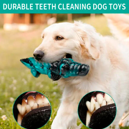 Krokodille Tyggelegetøj til Hunde – Ekstremt Holdbart og Tandrensende