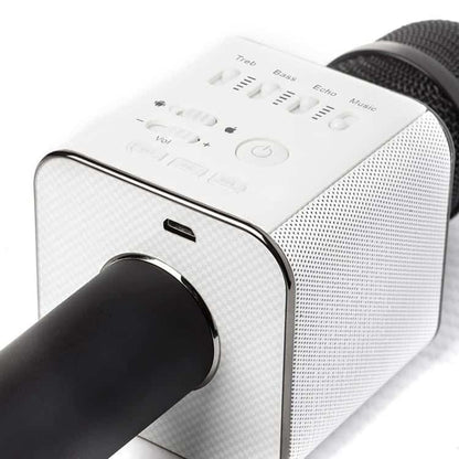 Karaoke Mikrofon Bluetooth med Højttaler