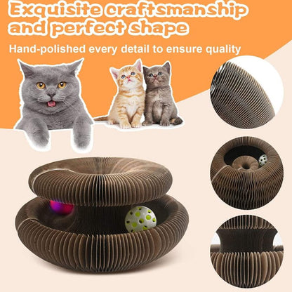 Katte Kradsebræt og legetøj med bold