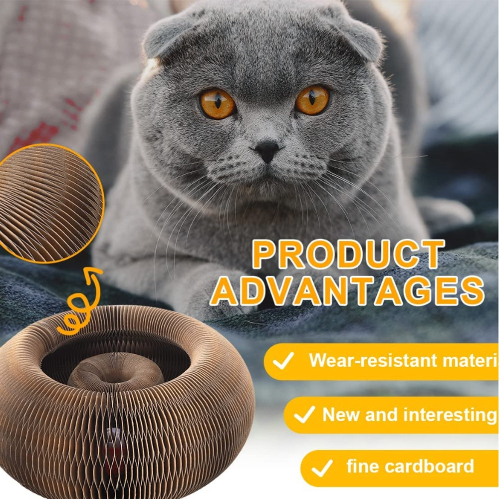 Katte Kradsebræt og legetøj med bold