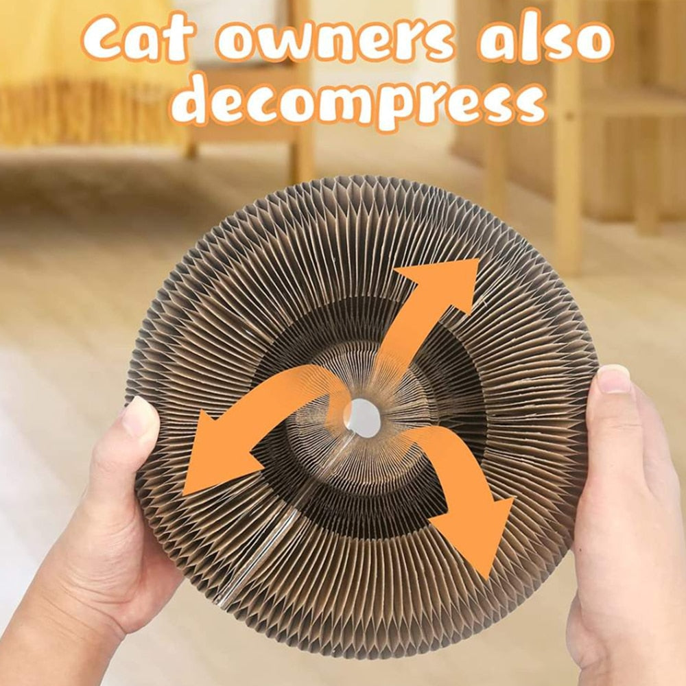 Katte Kradsebræt og legetøj med bold