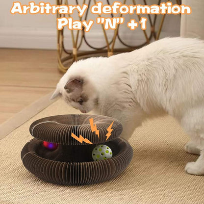 Katte Kradsebræt og legetøj med bold