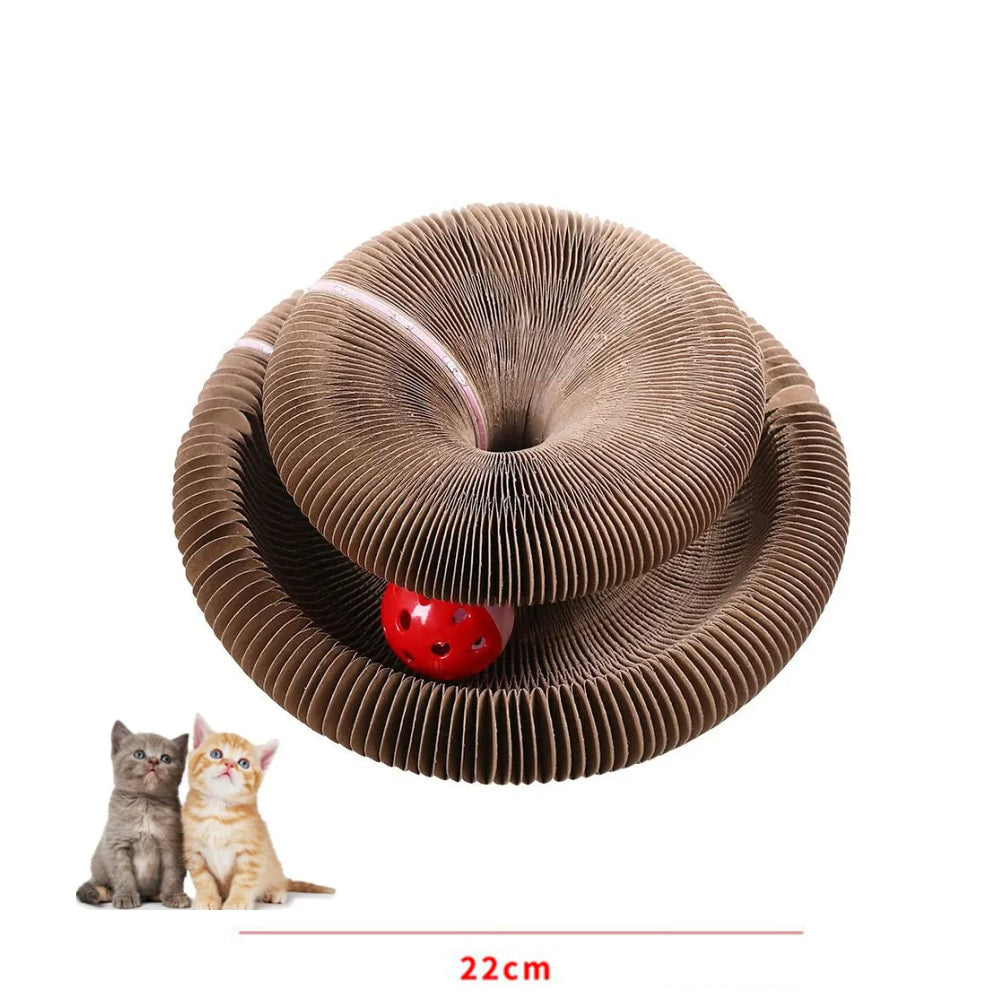 Katte Kradsebræt og legetøj med bold