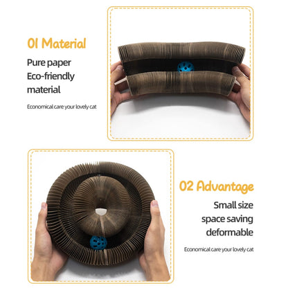 Katte Kradsebræt og legetøj med bold