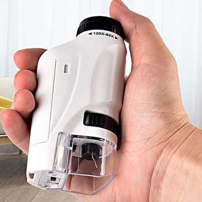 Håndholdt Mikroskop til Børn - Pink, Blå eller Hvid -