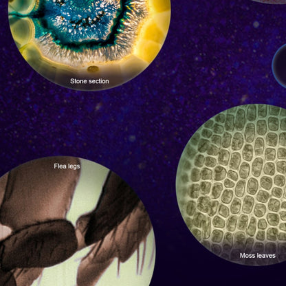 Håndholdt Mikroskop til Børn - Pink, Blå eller Hvid -