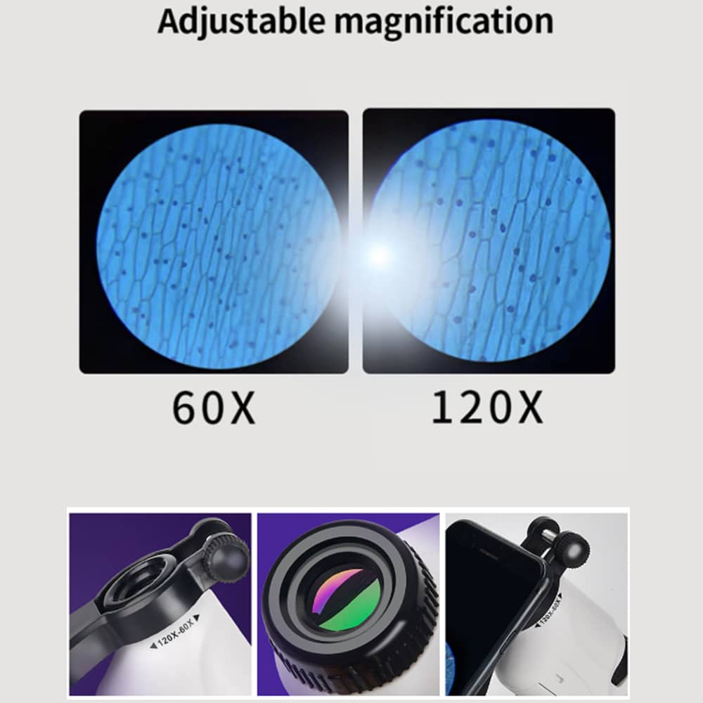 Håndholdt Mikroskop til Børn - Pink, Blå eller Hvid -