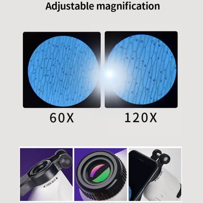 Håndholdt Mikroskop til Børn - Pink, Blå eller Hvid -