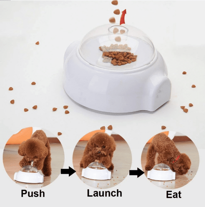 Kreativ Godbids aktivitetslegetøj til hunde og katte