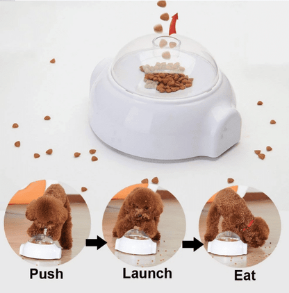 Kreativ Godbids aktivitetslegetøj til hunde og katte