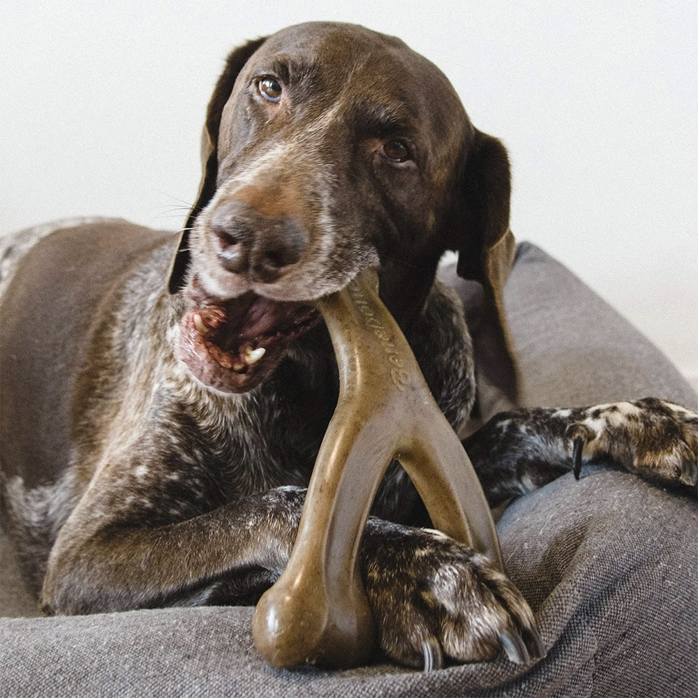Hundetygge ben med bacon- og kyllingesmag