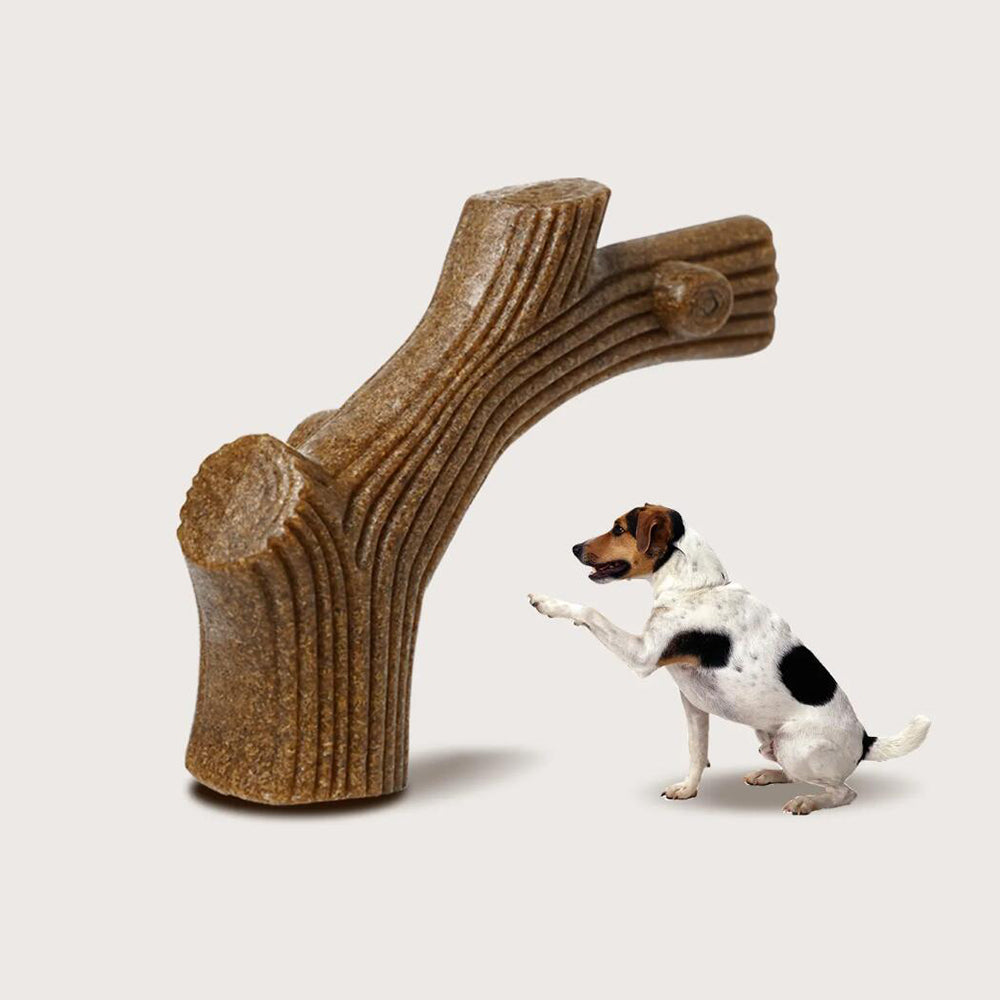 Hundetyggeben med oksekødssmag – robust og tandrensende