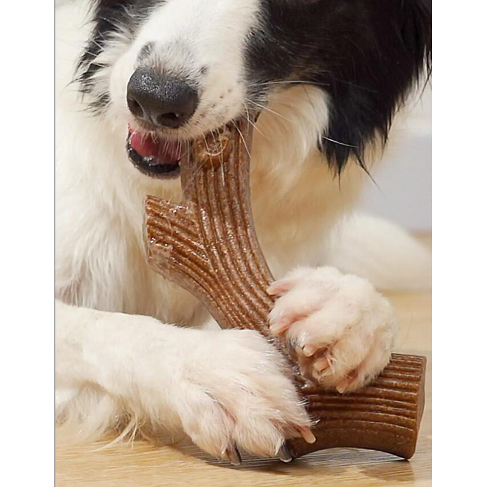 Hundetyggeben med oksekødssmag – robust og tandrensende